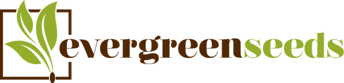 Evergreen seeds logo
