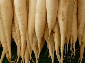 Roots of white daikon radish