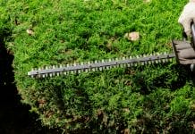 Person using greenworks cordless pole hedge trimmer