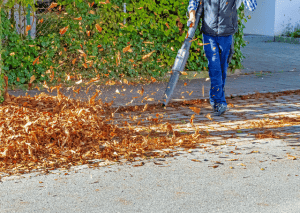 Person with toro electric leaf blower