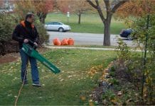 Black and decker nsw leaf blower review