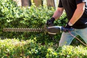 Black and decker ht inch hedge trimmer