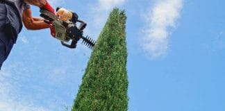 Greenworks cordless hedge trimmer