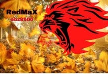 Redmax ebz review