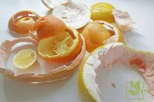 Adding citrus in compost piles and its benefits