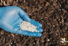 How to add nitrogen to soil