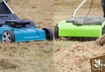 Caring for Your Lawn With Scarifier vs Dethatcher
