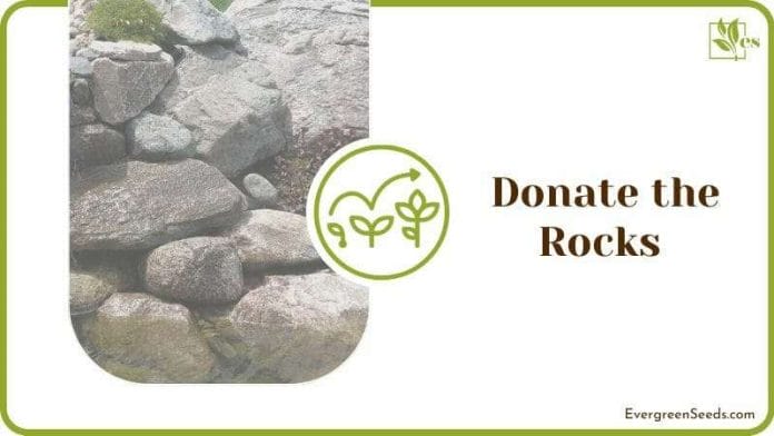 Donate the Rocks for Charity