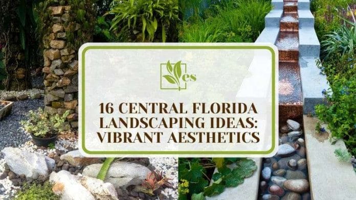 16 Central Florida Landscaping Ideas Vibrant Aesthetics