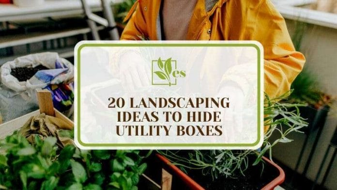 20 Landscaping Ideas to Hide Utility Boxes