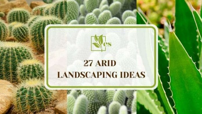 27 Arid Landscaping Ideas