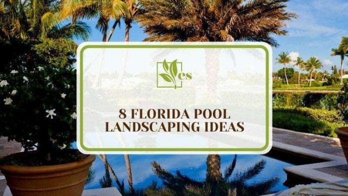 8 Florida Pool Landscaping Ideas
