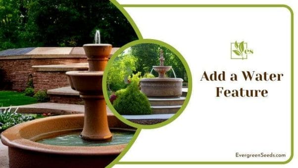 Add a Water Feature in Your Minnesota Garden