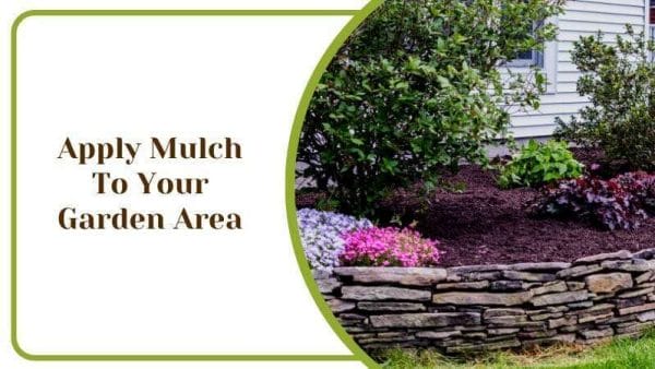 Apply Mulch To Your Garden Area Method for Plotting Plants