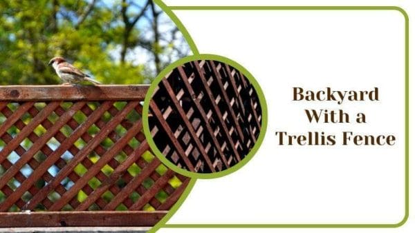 Backyard With a Trellis Fence Back Yard Ideas for Protection