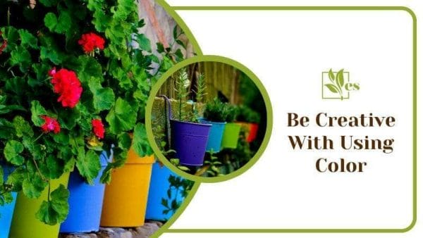 Be Creative With Using Color in Your Arizona Garden Various Colors Accent