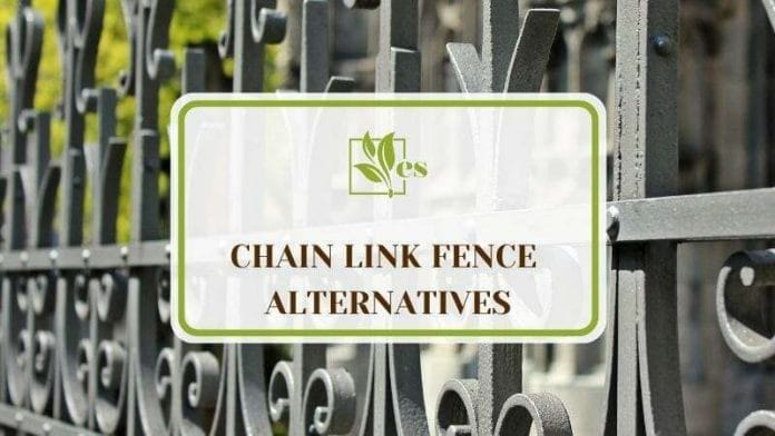 Chain Link Fence Alternatives