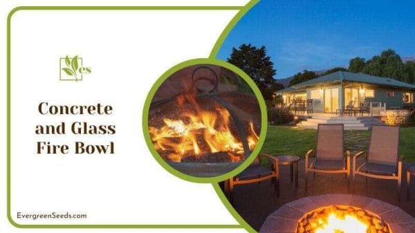 Concrete and Glass Fire Bowl Firepit
