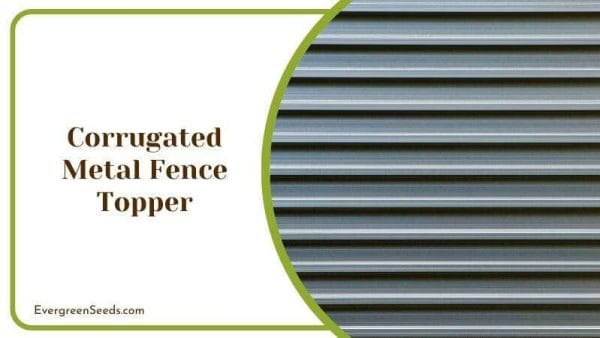 Corrugated Metal Fence Topper for Gardens and Houses