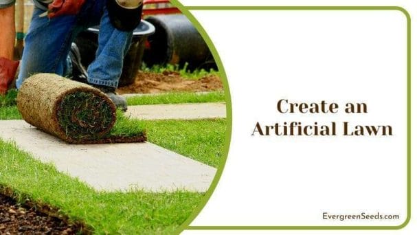 Create an Artificial Lawn For The Yard and House Backyard Green Patch