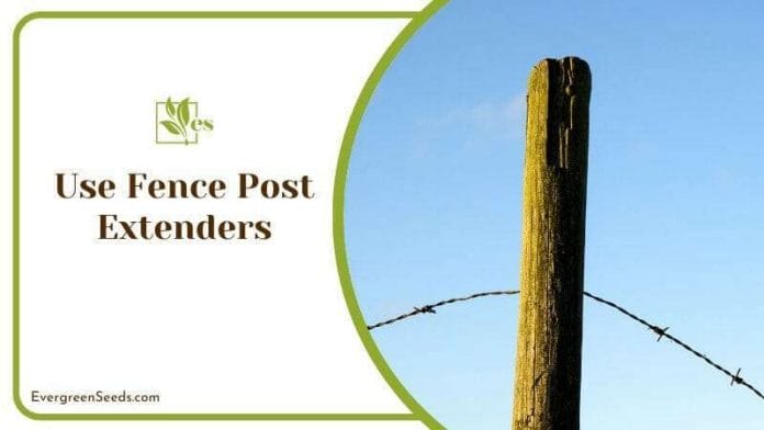 Fence Post Extenders