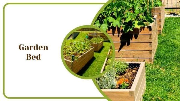 Garden Bed for Home Plants and Backyard Trees Ideas