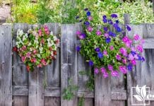 Hide Neighbors Unsightly Fence With Creative Decor