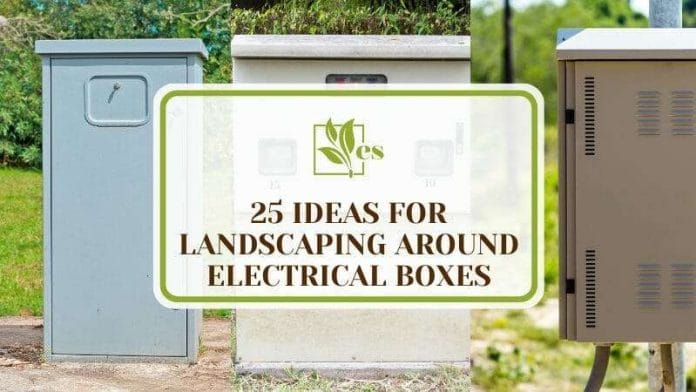Ideas for Landscaping Around Electrical Boxes