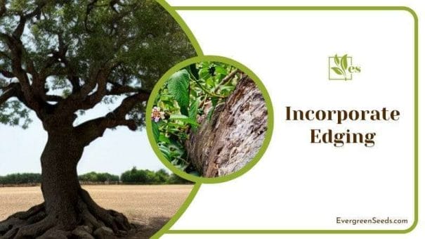 Incorporate Edging in Oak Tree Landscaping
