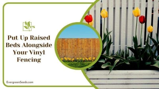 Raised Flower Beds That Elevates the Look of Vinyl Fencing