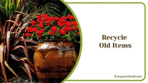 Recycle Old Items Big Pots for Flowers and Plants