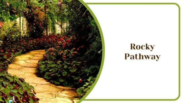 Rocky Pathway In a Florida Backyard Garden Green Plants