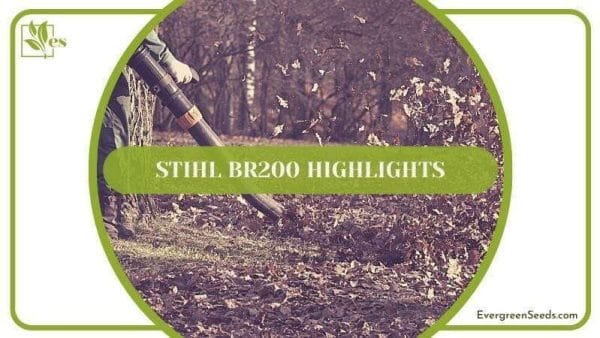 Stihl BR200 Highlights