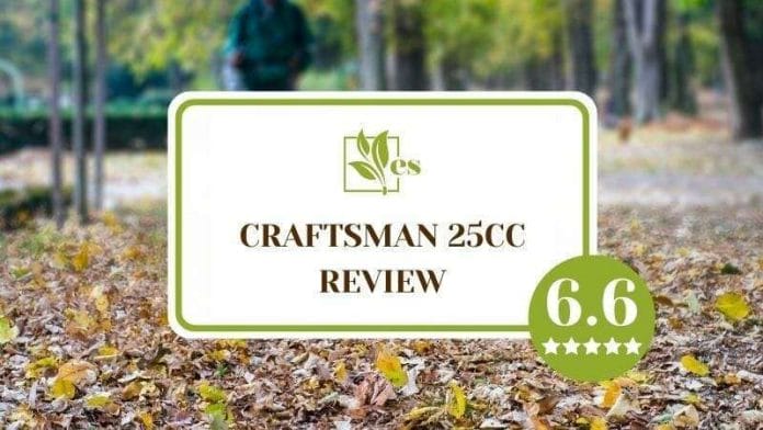 The Craftsman 25cc blower review