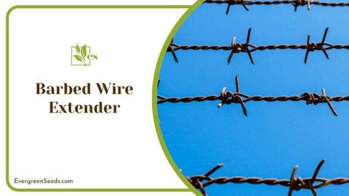 The Rusty Barbed Wire Extender