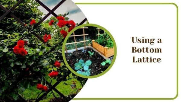 Using a Bottom Lattice For Big and Small Outdoor Gardens with Flowers