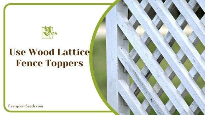 White Wood Lattice Fence