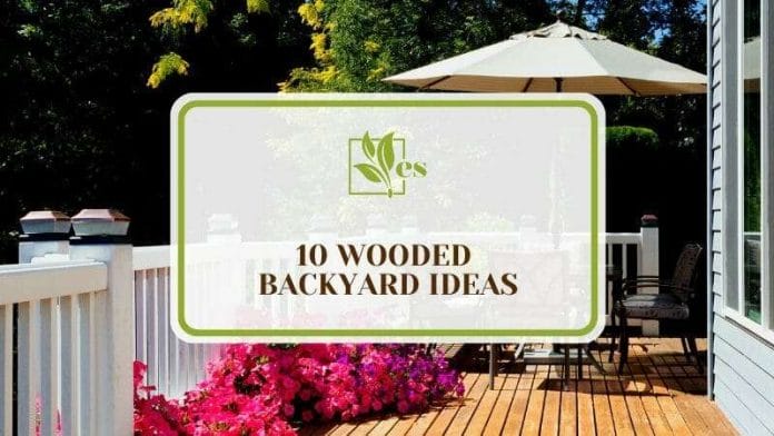 Wooded Backyard Ideas for The Home