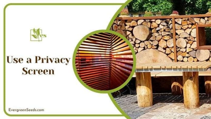 Wooden Privacy Screen in Backyard