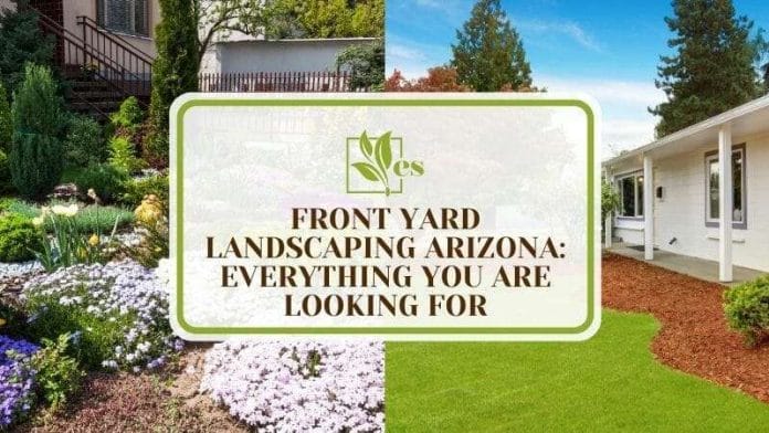 14 Front Yard Landscaping Arizona Everything You Are Looking For