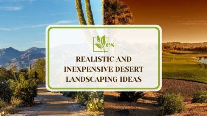 32 Realistic and Inexpensive Desert Landscaping Ideas
