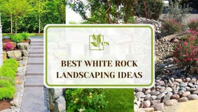 39 Best White Rock Landscaping Ideas