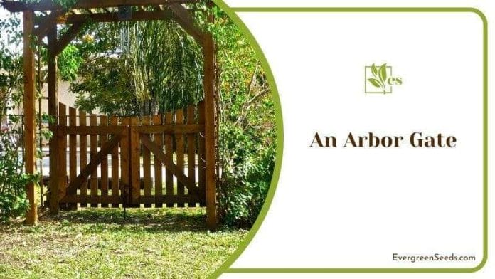 An Arbor Gate