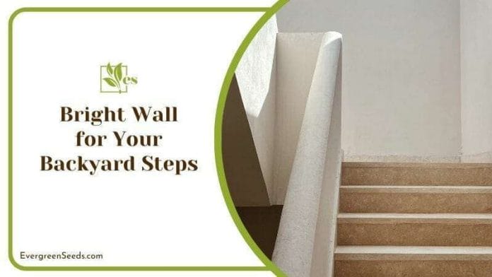 Bright Wall for Your Backyard Steps
