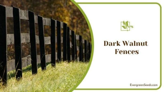 Dark Wood Walnut Fences