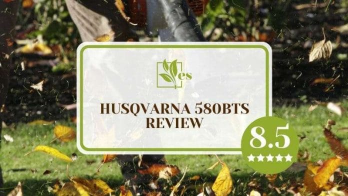 Full Review of Husqvarna 580BTS