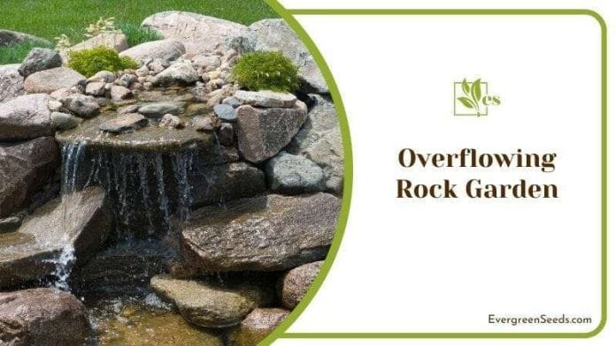 Overflowing Rock Garden