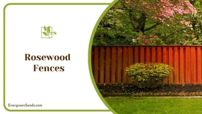 Perfect Rosewood Fences