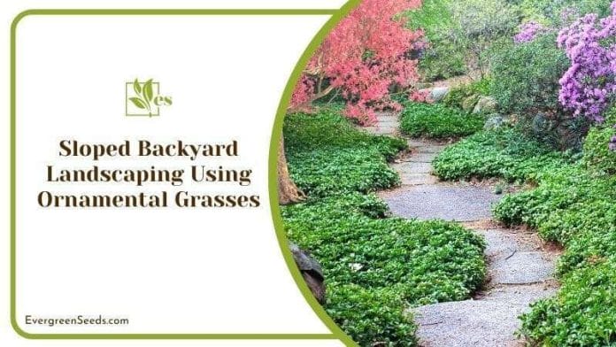 Sloped Backyard Landscaping Using Ornamental Grasses