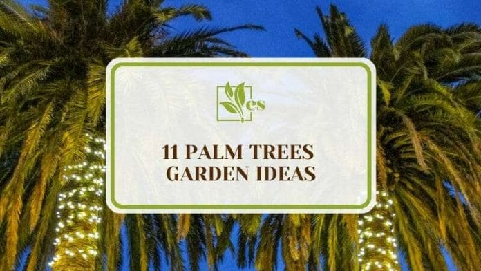 11 Palm Trees Garden Ideas